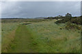 TF9844 : Peddars Way & Norfolk Coast Path on the Stiffkey Salt Marshes by Mat Fascione