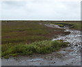 TF9744 : Stiffkey Salt Marshes by Mat Fascione