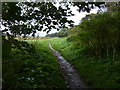 TF9443 : Peddars Way & Norfolk Coast Path at Warham Greens by Mat Fascione