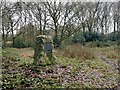 SJ8381 : Commemorative stone on Lindow Common by Graham Hogg