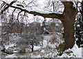 SK5804 : Castle Gardens in the snow by Mat Fascione