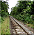 SU4320 : Single track railway from Chandler's Ford towards Romsey by Jaggery