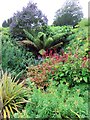 SZ4083 : A flower border at Mottistone Manor by Steve Daniels