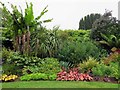 SZ4083 : A flower border at Mottistone Manor by Steve Daniels