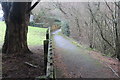 ST2995 : Path next to retail park to Cwmbran Drive by M J Roscoe