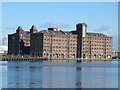 SJ3190 : Converted grain warehouses, Dock Road, Birkenhead by Graham Robson