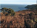 SH7684 : Dead bracken by Jonathan Wilkins