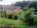 SZ4083 : Mottistone Manor from the Olive Grove by Steve Daniels