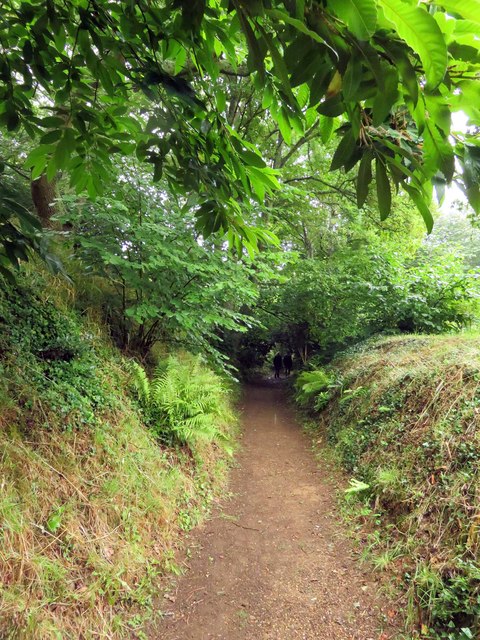 The Gully at Mottistone Manor