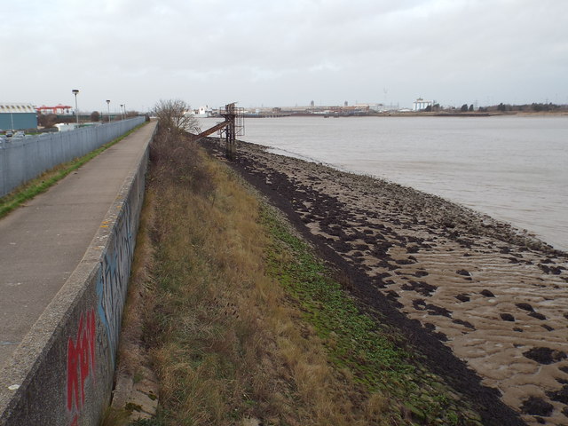 River Thames and Thames Path at Jenningtree Point, near Belvedere