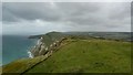 SY8680 : Flower's Barrow Hill Fort, Lulworth Ranges, Dorset by Phil Champion