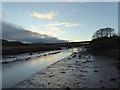 SX8772 : Looking up the Old Channel of the River Teign at Dusk by Chris Allen