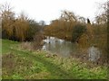 SK4835 : River Erewash, Toton Washlands by Alan Murray-Rust