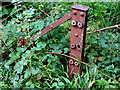 SY5397 : Railway Fencing on Bridport Branch Line (6) by Nigel Mykura