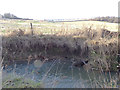 SE2332 : Erosion on Pudsey Beck at Troydale by Stephen Craven