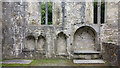 V9787 : Double piscina, sedilia and tomb recess - chancel at Muckross Abbey church by Phil Champion