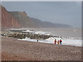 SY1287 : Jurassic Coast, Sidmouth by Chris Allen