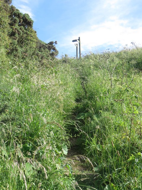 Footpath at Speeton Gap