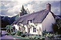 SS9843 : Thatched Cottage in Park Street, Dunster by Jeff Buck