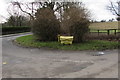 SP2512 : Yellow on a Fulbrook corner, West Oxfordshire by Jaggery