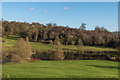 TQ4551 : The Lakes, Chartwell by Ian Capper