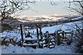 NT2339 : Stile and gate, South Park Wood by Jim Barton