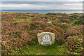 SW3821 : National Trust sign, Pedn-mên-an-mere by Ian Capper