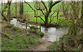 SX0273 : River Allen by Lemail Wood by Derek Harper