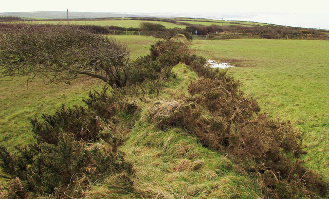 Cornish hedge near Tregonnick