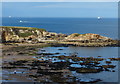 NZ3965 : Camel Island at the northern end of Marsden Bay by Mat Fascione