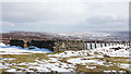 NY9545 : Sheepfold close to old rail route by Trevor Littlewood