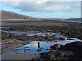 NS4173 : Dumbuck Crannog: piles and platform by Lairich Rig