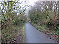 SN5005 : Llwybr Beicio Horeb / Horeb Cycle Path by Alan Richards