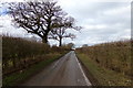 TL1219 : Copt Hall Road, Chiltern Green by Geographer