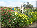 NU1341 : Gertrude Jekyll Garden, Lindisfarne by M J Richardson