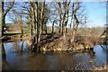 SO6856 : Moat at Lower Brockhampton by Philip Halling