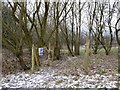 SJ8247 : Public footpath passes through spinney on Gorsty Bank by Jonathan Hutchins