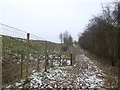 SJ8246 : Path alongside Gorsty Bank Quarry by Jonathan Hutchins