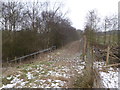 SJ8246 : Steps off path by Gorsty Bank Quarry by Jonathan Hutchins