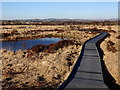 SN6862 : Boardwalk on the loop path, Cors Caron by Rudi Winter