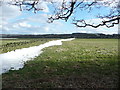 SE1111 : Snowdrift alongside a field wall, Honley by Humphrey Bolton