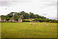 SZ5692 : Quarr Abbey remains by Ian Capper