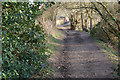 SO7975 : Riverside path at Bewdley by Bill Boaden