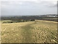 SJ8251 : Public footpath on Bignall Hill by Jonathan Hutchins