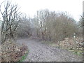 TQ5064 : Footpath through Upper Beechen Wood, near Eynsford by Malc McDonald