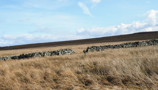 Dry stone wall crossing moorland