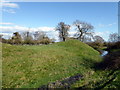 SZ8795 : Earthworks at Church Norton by PAUL FARMER