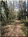 SJ7845 : Public footpath south of Madeley Heath by Jonathan Hutchins