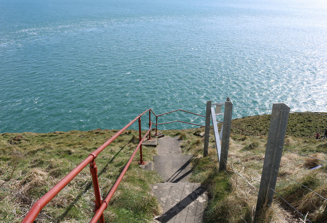 Steps down to Foghorn