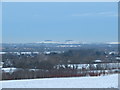 SU5087 : Snowy Witenham Clumps by Bill Nicholls